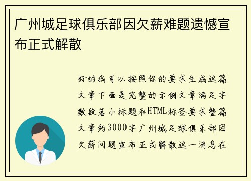 广州城足球俱乐部因欠薪难题遗憾宣布正式解散